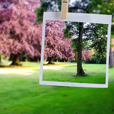 Pfahlershof * Karolinenkoog