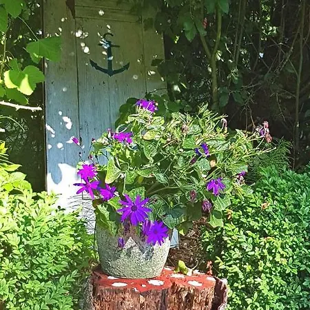 Hotell Pfahlershof *