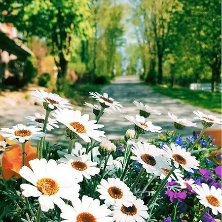 Pfahlershof * Karolinenkoog